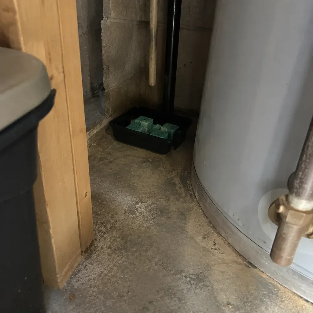 Healthcare Rodent Control Across South Bend Facilities