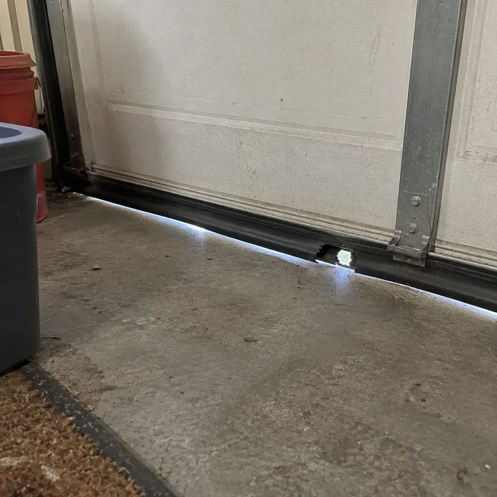 Rodent control methods in South Bend, IN